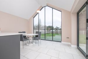 THE CONIFERS- click for photo gallery